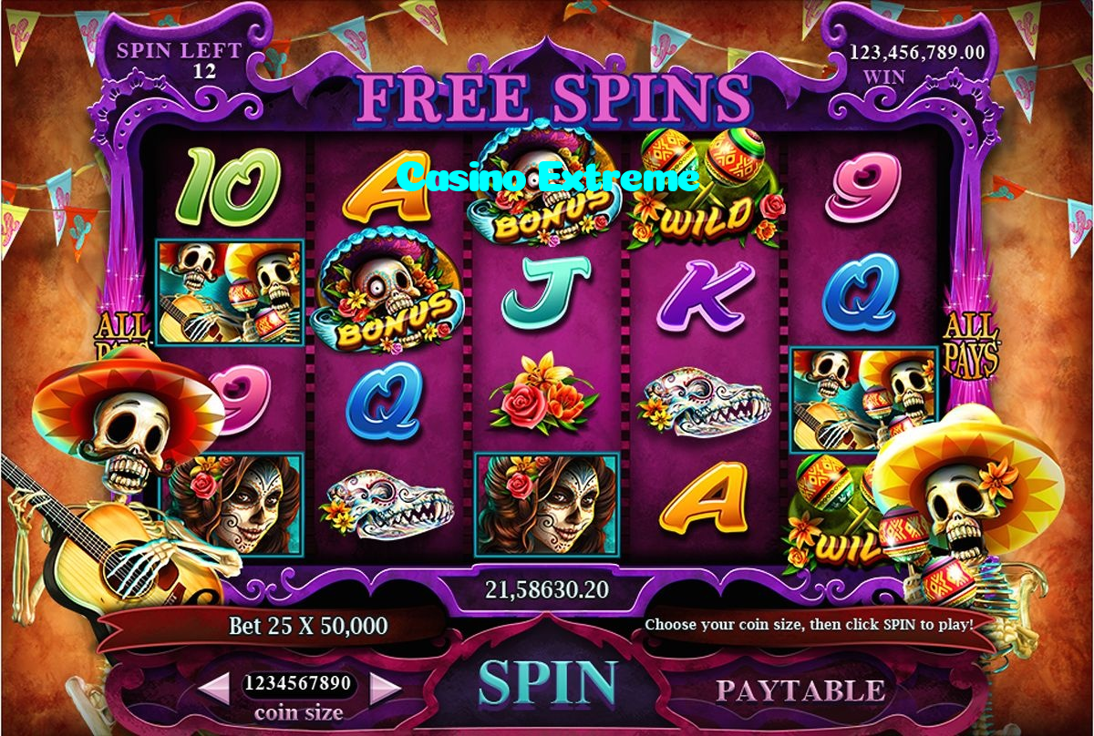 available types of Casino Extreme bet including pre-match live express and system bets